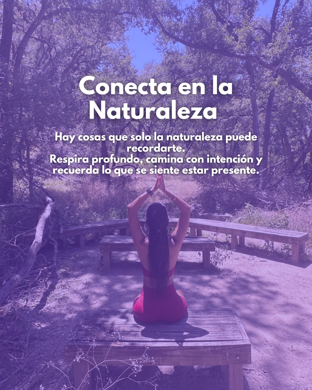 Experiencias Agosto 🧘🏾‍♀️